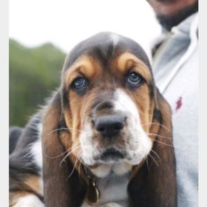 Meet your Posher, Magdalena